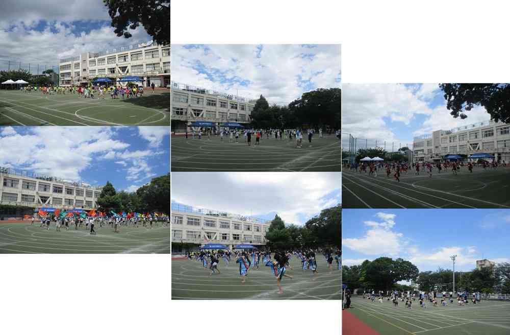 0529riha