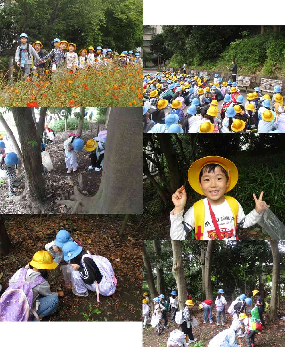 1005akisagasi12